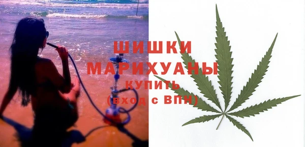 mdpv Богородск
