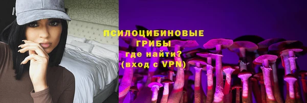 mdpv Богородск
