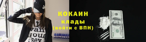 mdpv Богородск