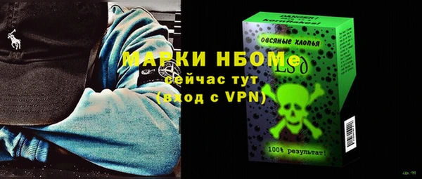 мдпв Богородицк