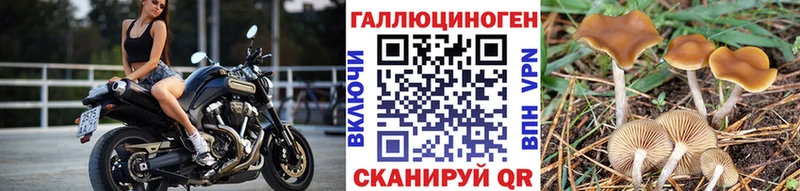 Галлюциногенные грибы Psilocybine cubensis  OMG маркетплейс  Учалы 